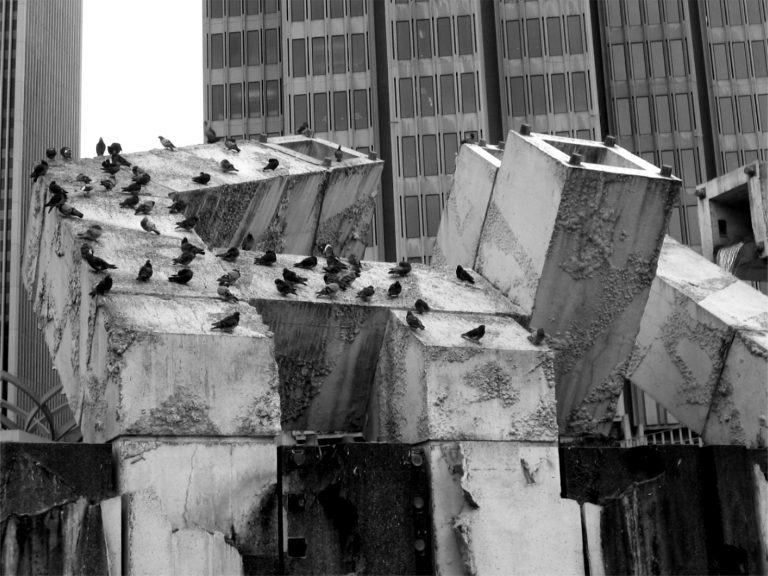 birds1